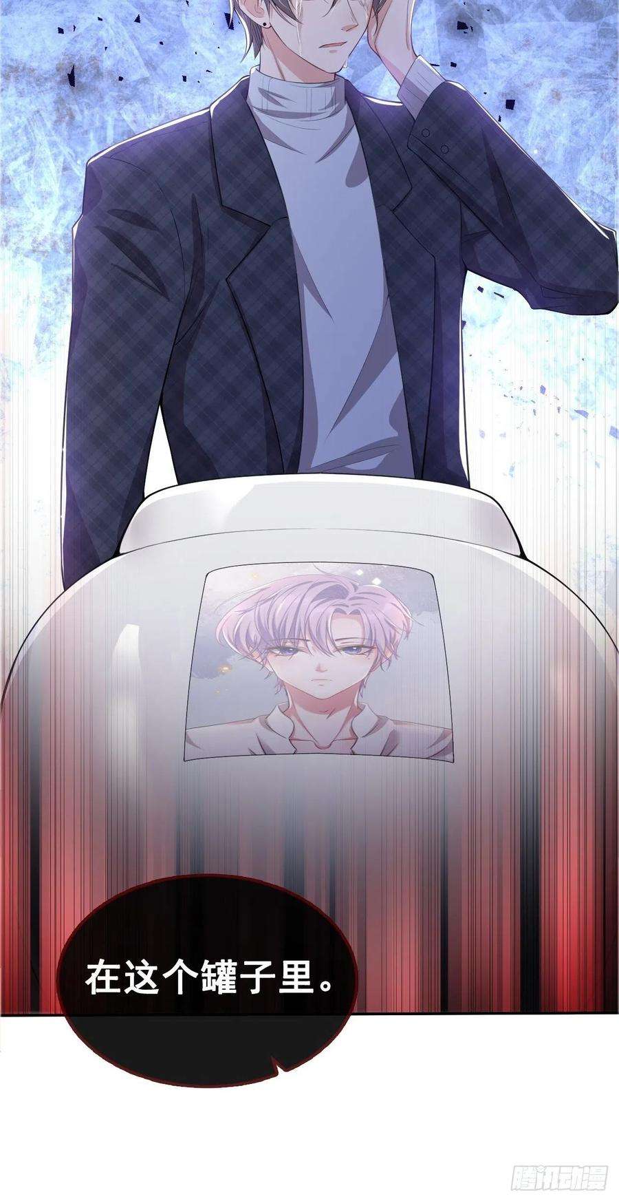 替身关系24话 愿先生岁岁平安