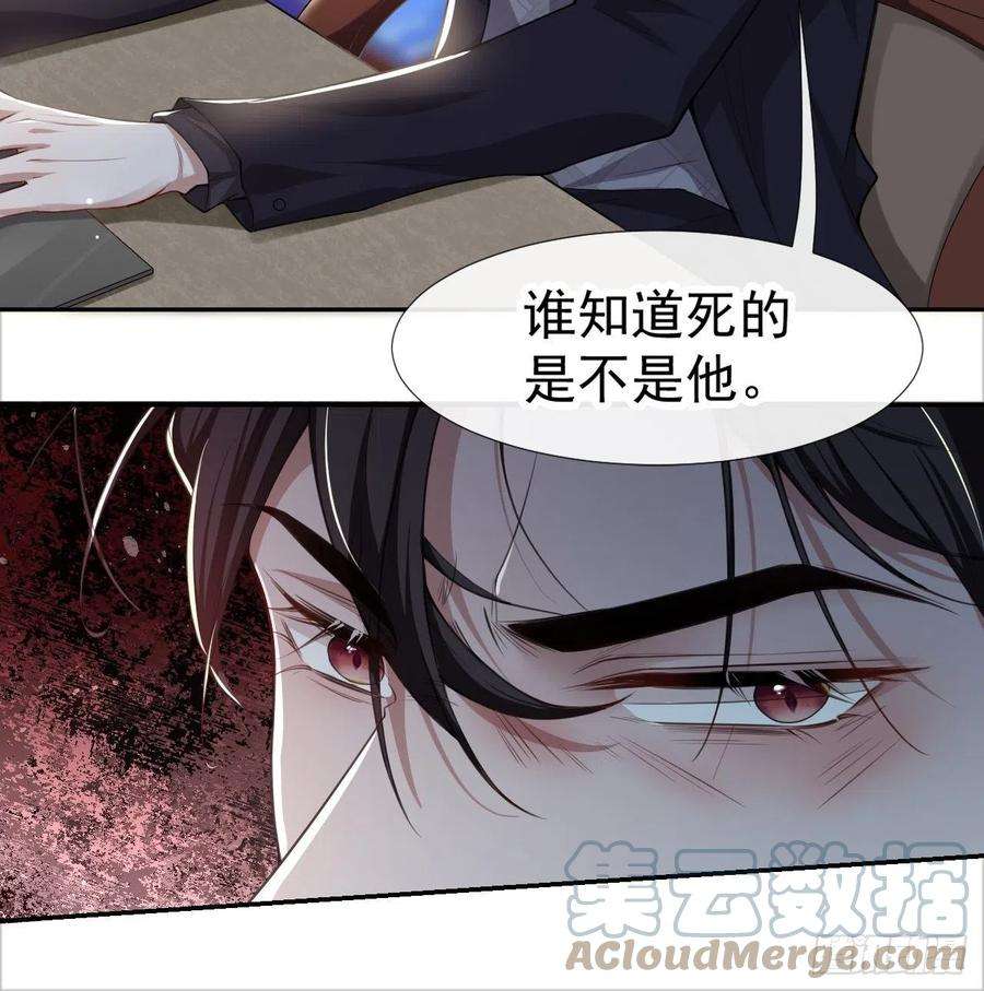 替身关系24话 愿先生岁岁平安