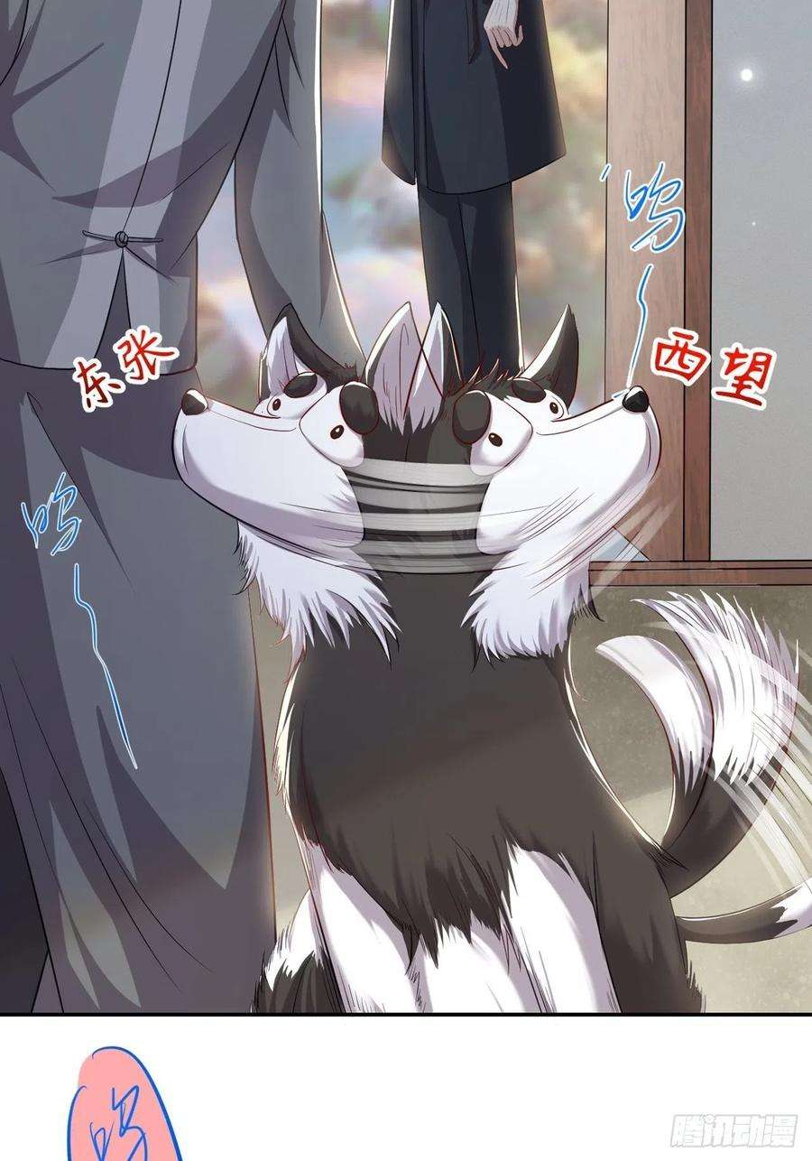 替身关系27话 许承宴喜欢