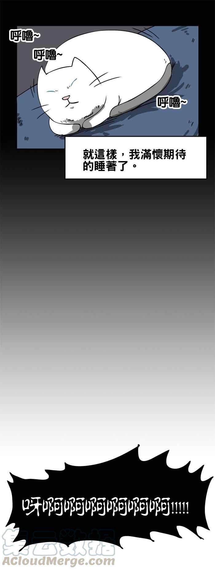 百鬼夜行志・一夜怪谈之卷第60话 猫咪的愿望