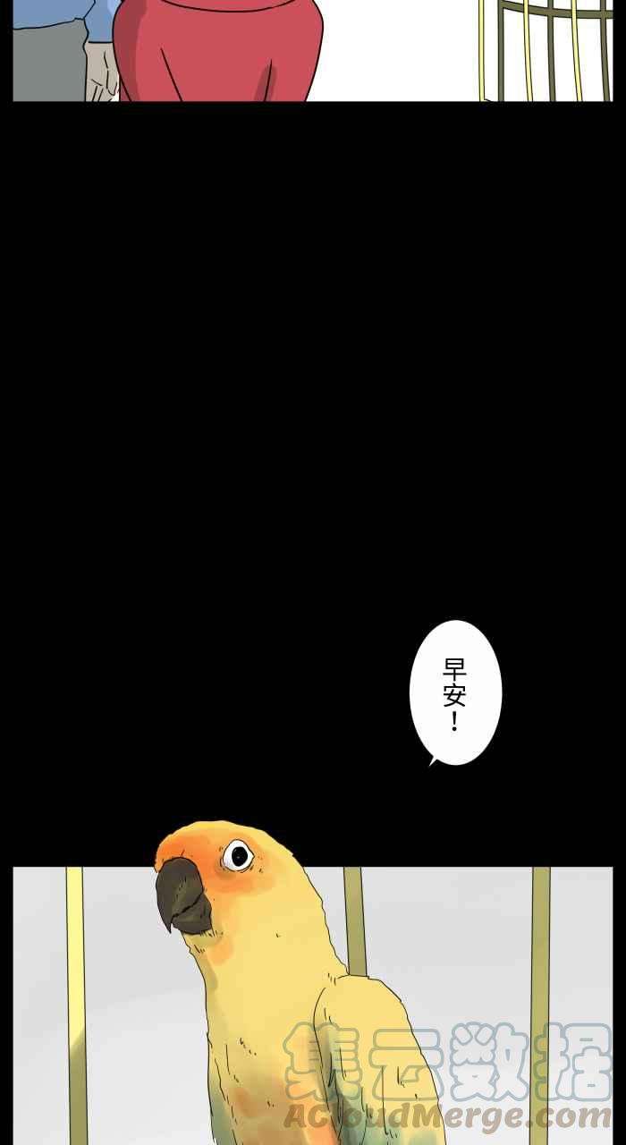 百鬼夜行志・一夜怪谈之卷第668话 鹦鹉