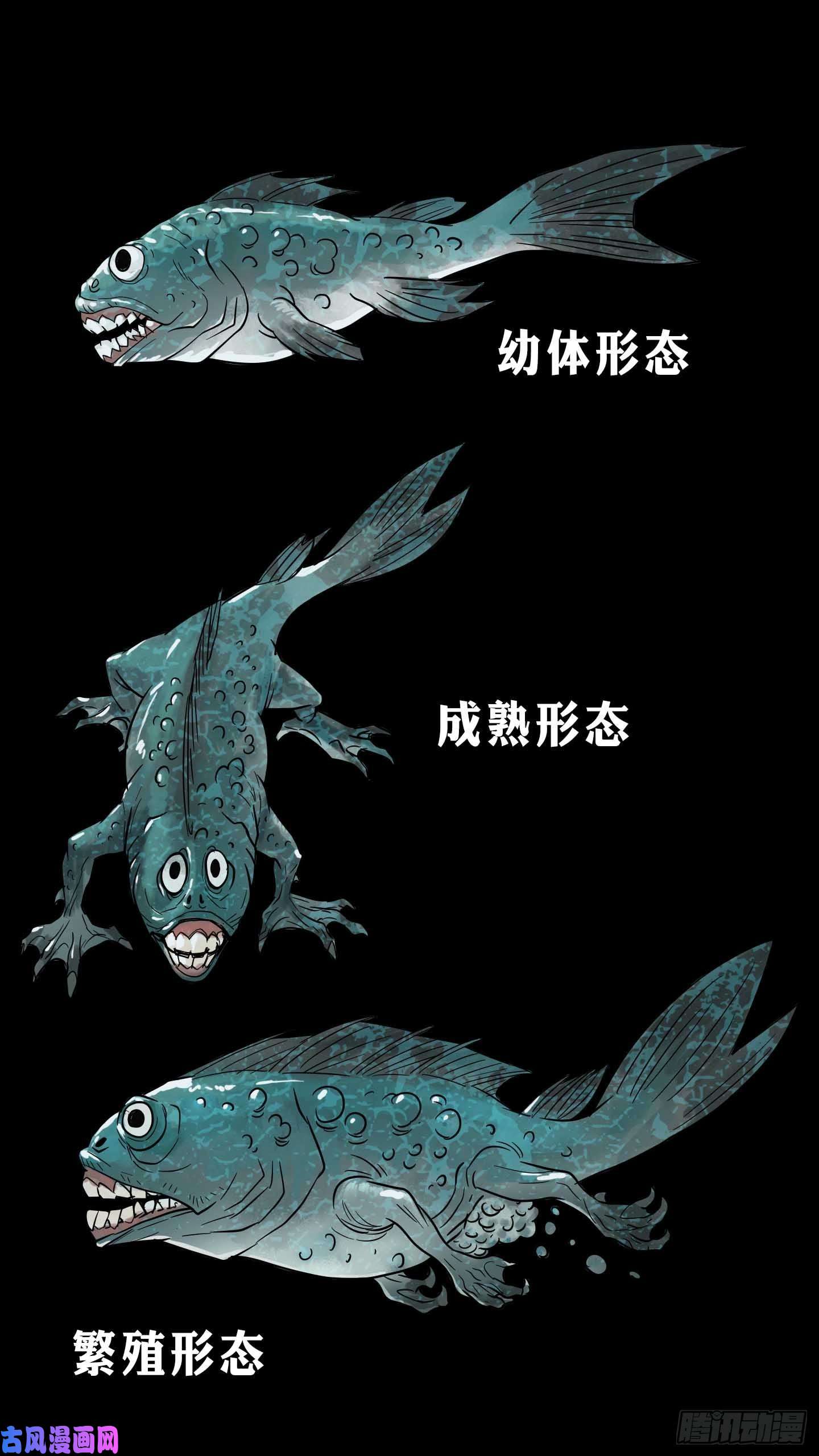 回头是岸放料1-封面、水怪