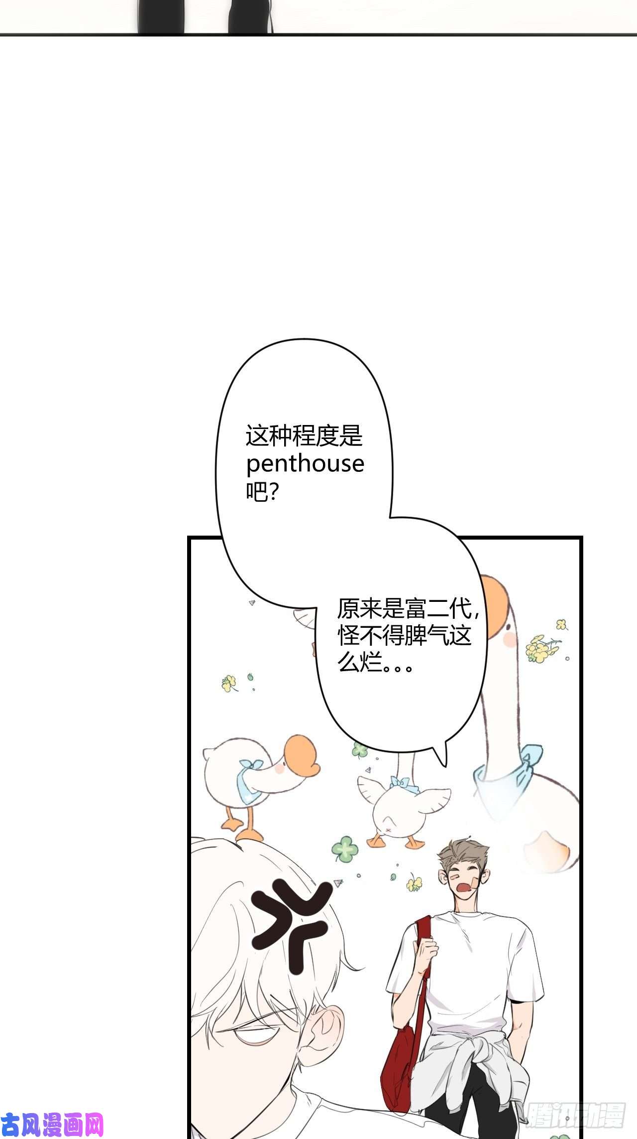 小王子留宿