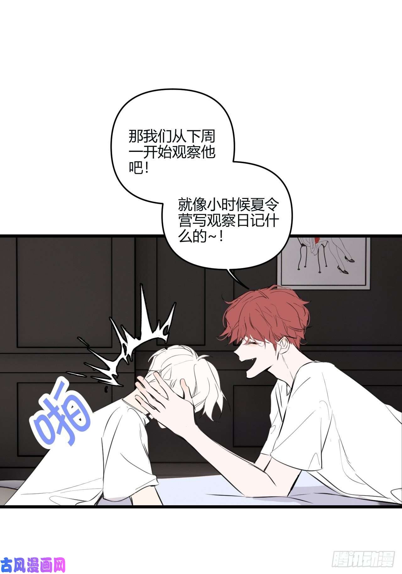 小王子观察日记（上）