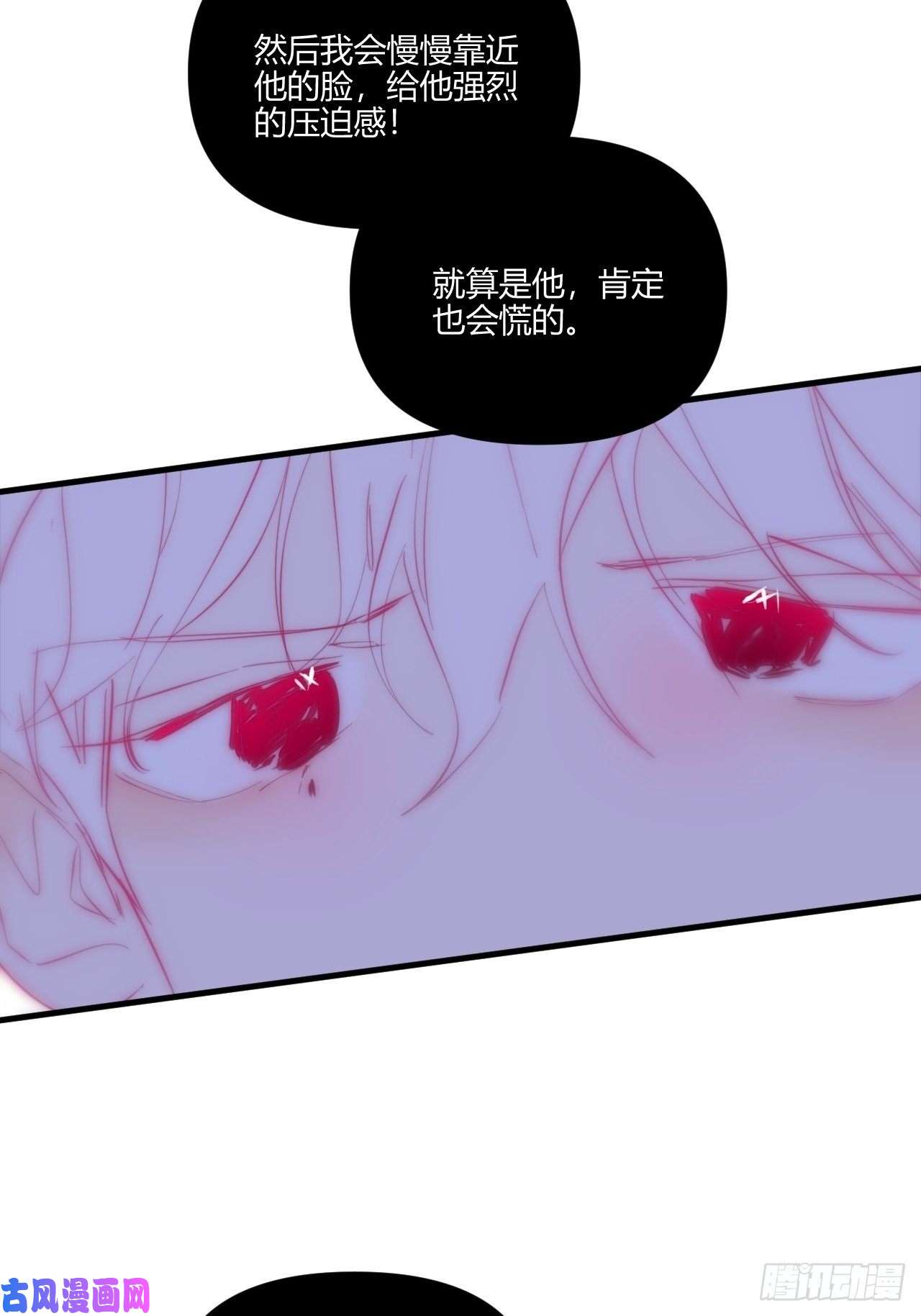 小王子扑通扑通