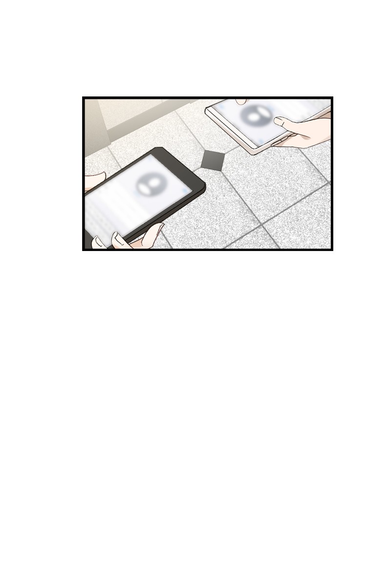 她们的秘密29 交换