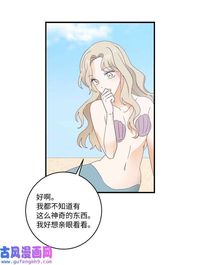 她们的秘密33 童话邂逅