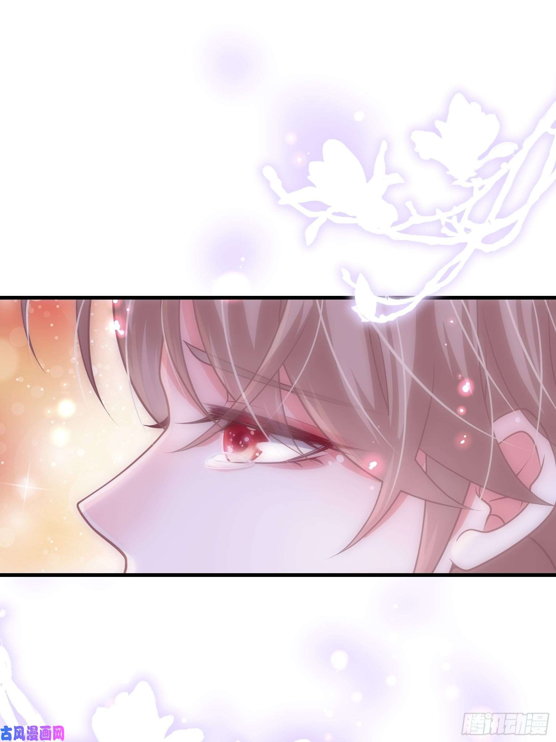 我怀疑系统喜欢我09-我顶你个肺！