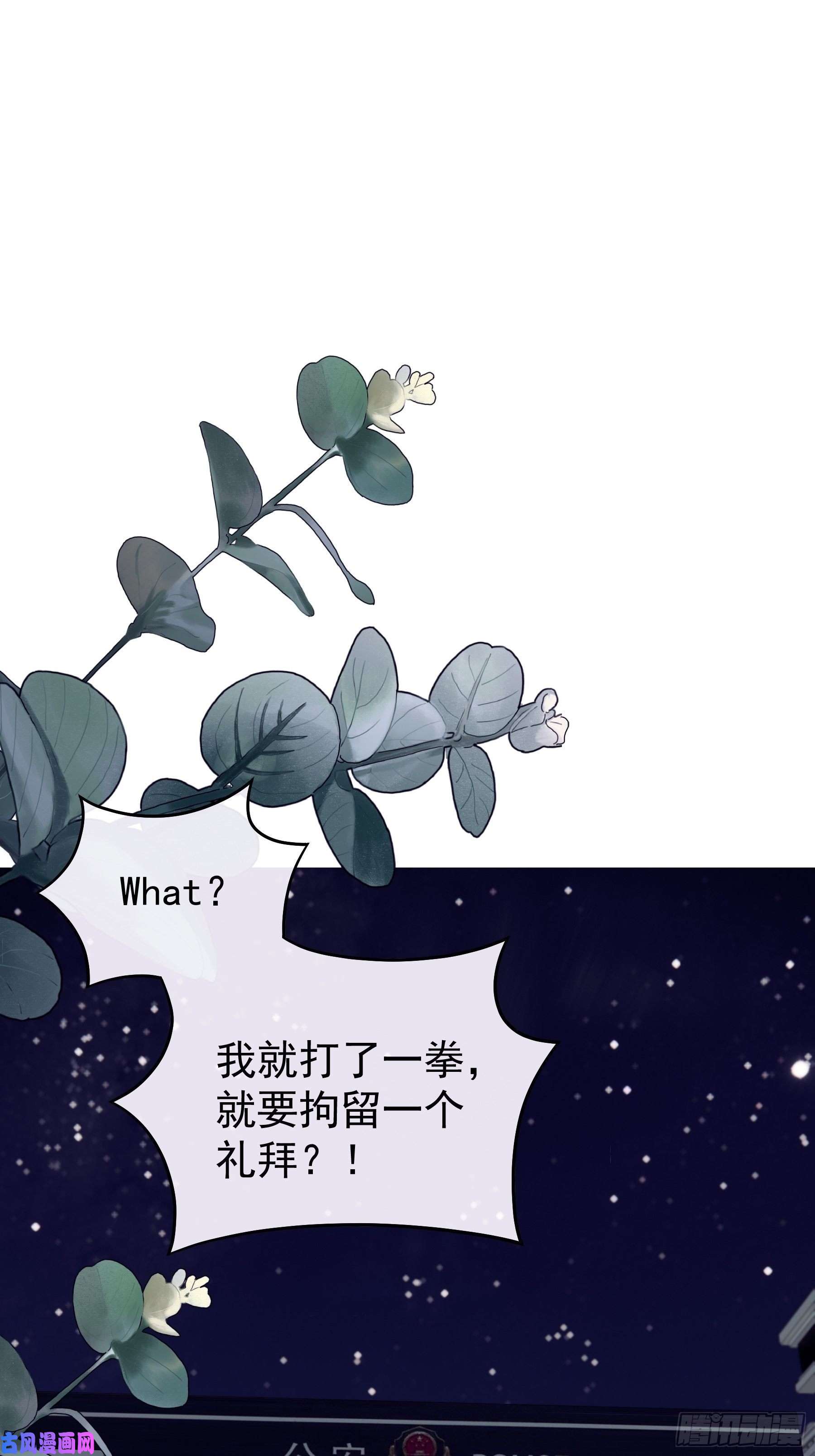 我怀疑系统喜欢我10-白洛掉马