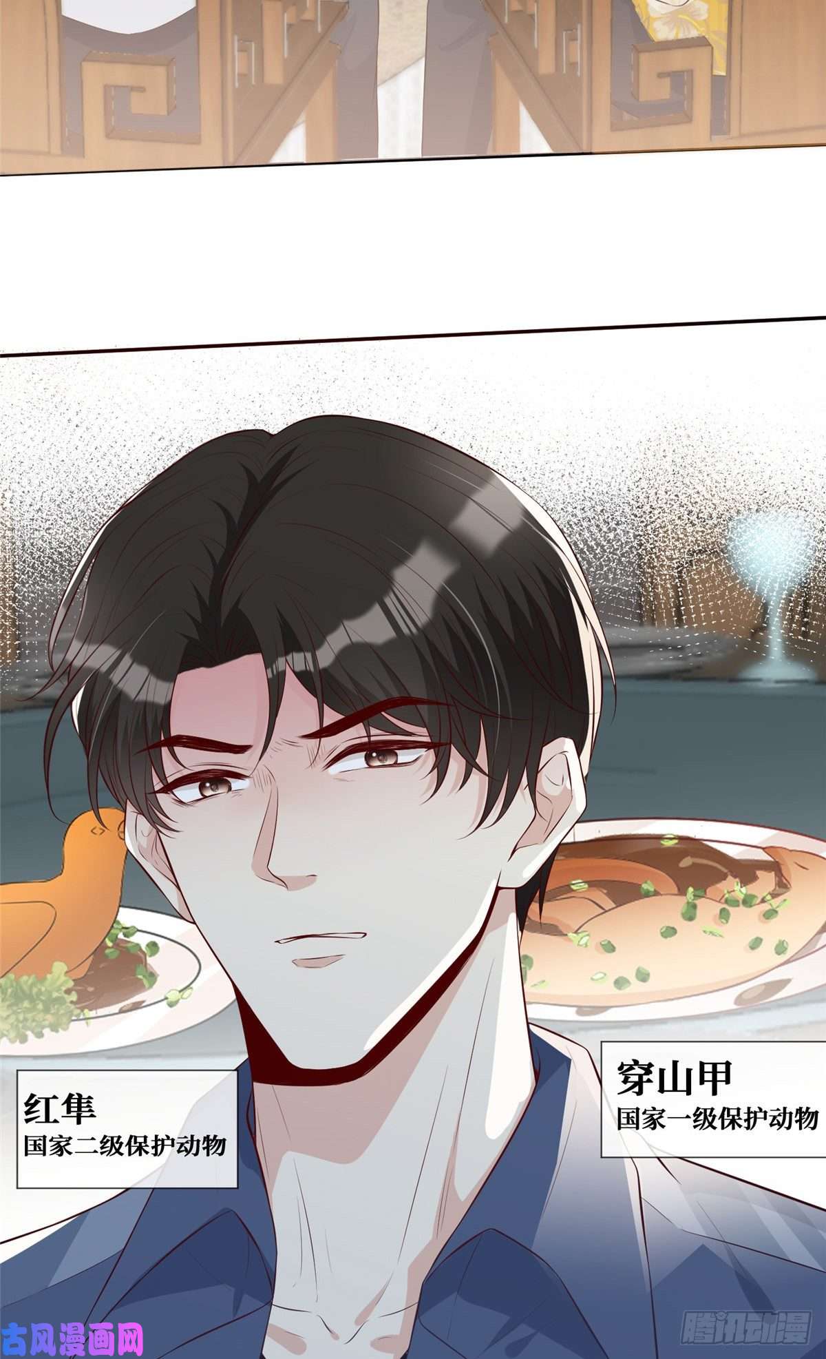 越界招惹09 陆队长的女朋友