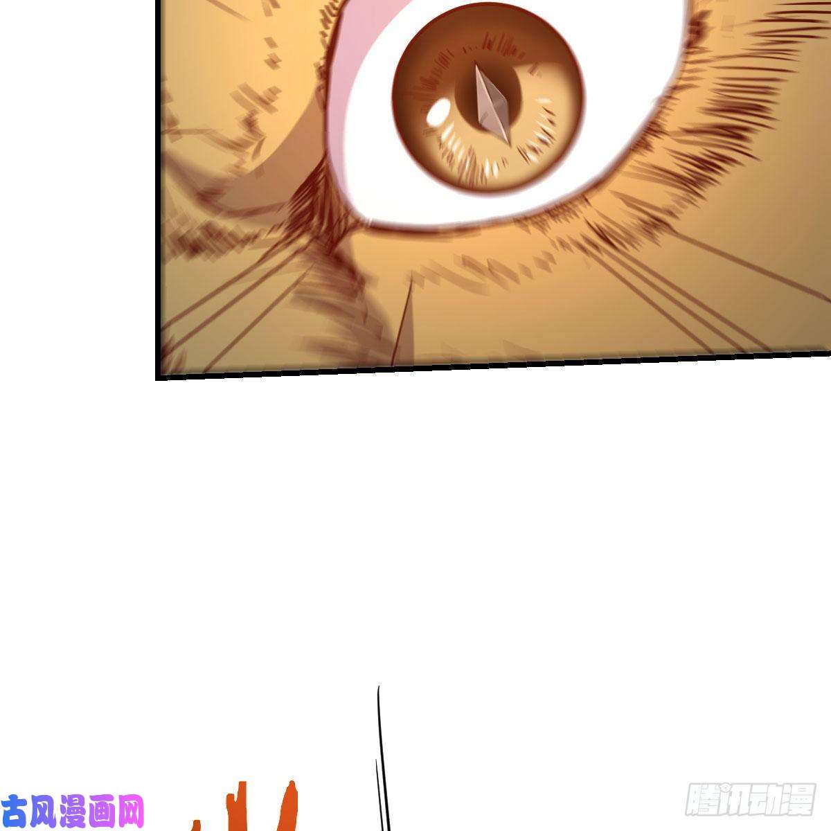 我有元婴NB症我人傻了