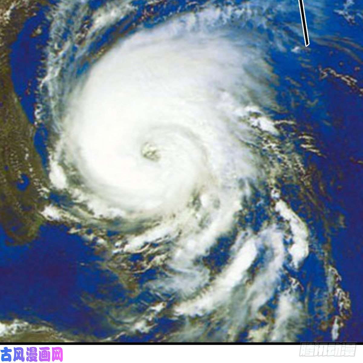 我有元婴NB症内府金丹