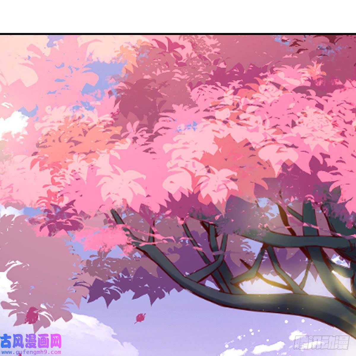 我有元婴NB症容酥的选择