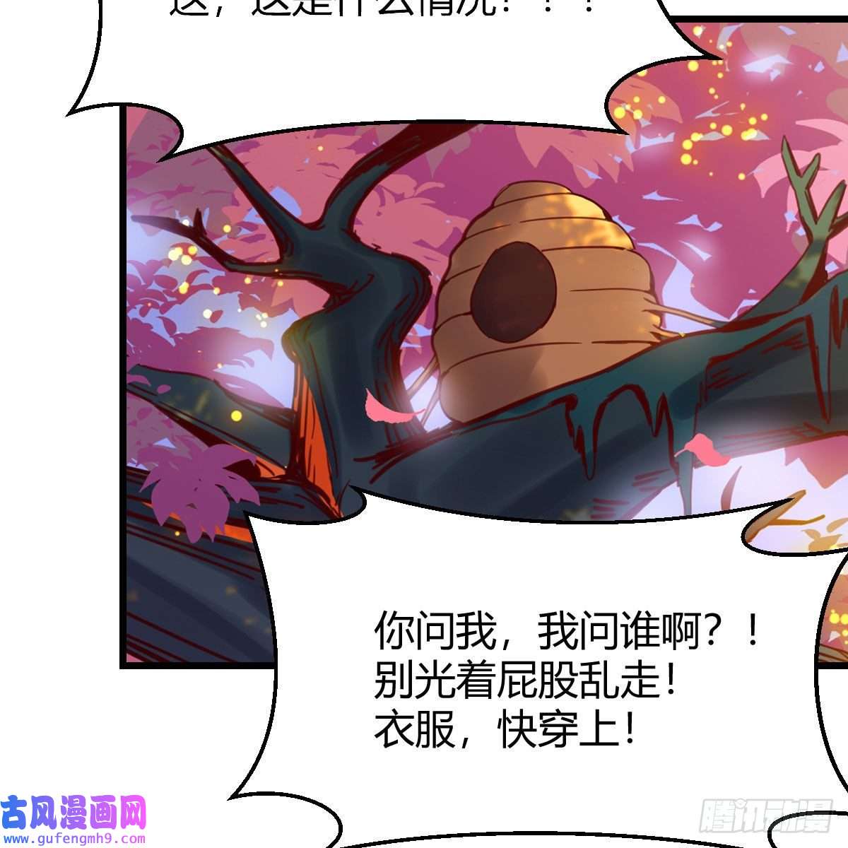 我有元婴NB症连更第一天！