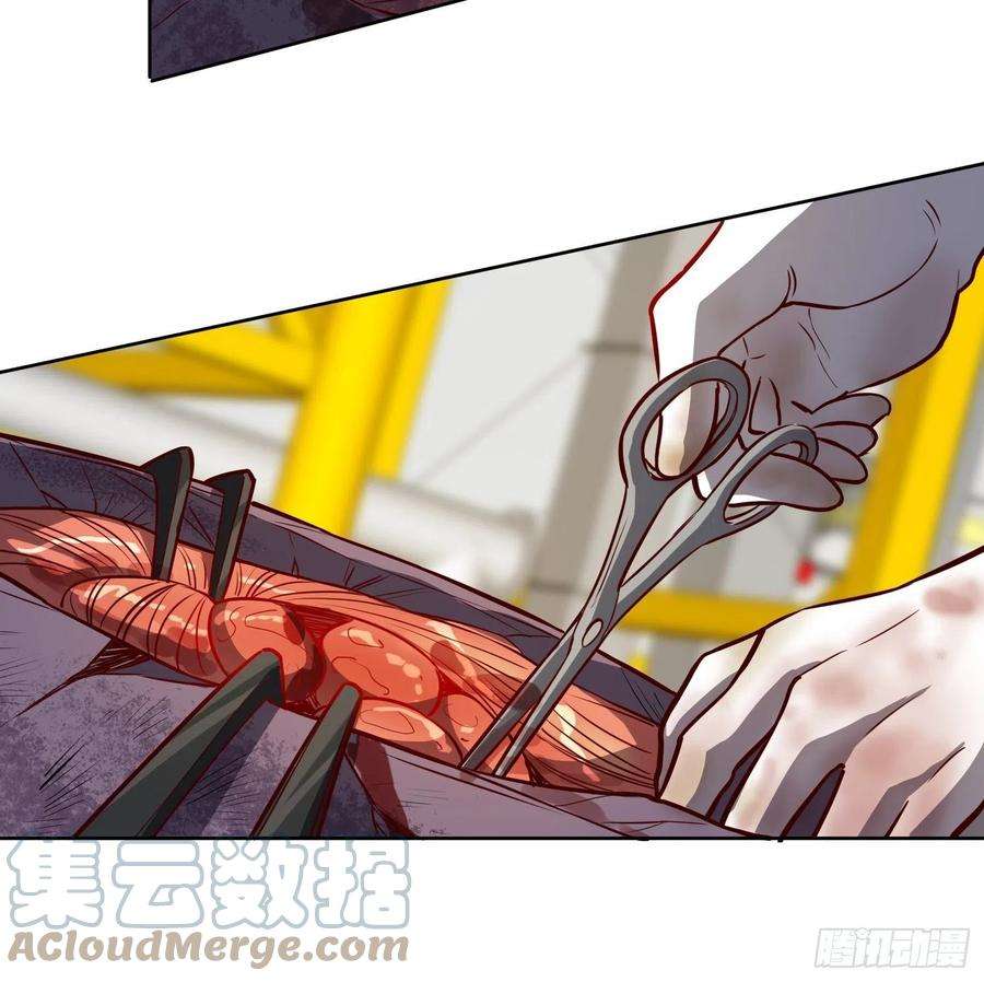 地球人实在太凶猛了14 灵化神经球