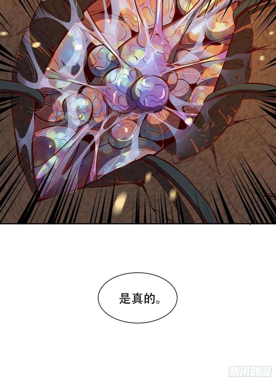 地球人实在太凶猛了15话 刀下留蛛