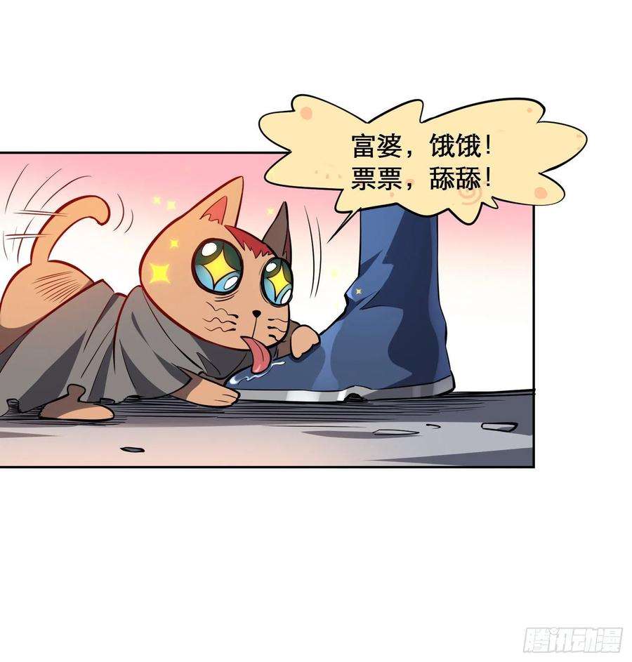 地球人实在太凶猛了20话 老虎秒变猫咪