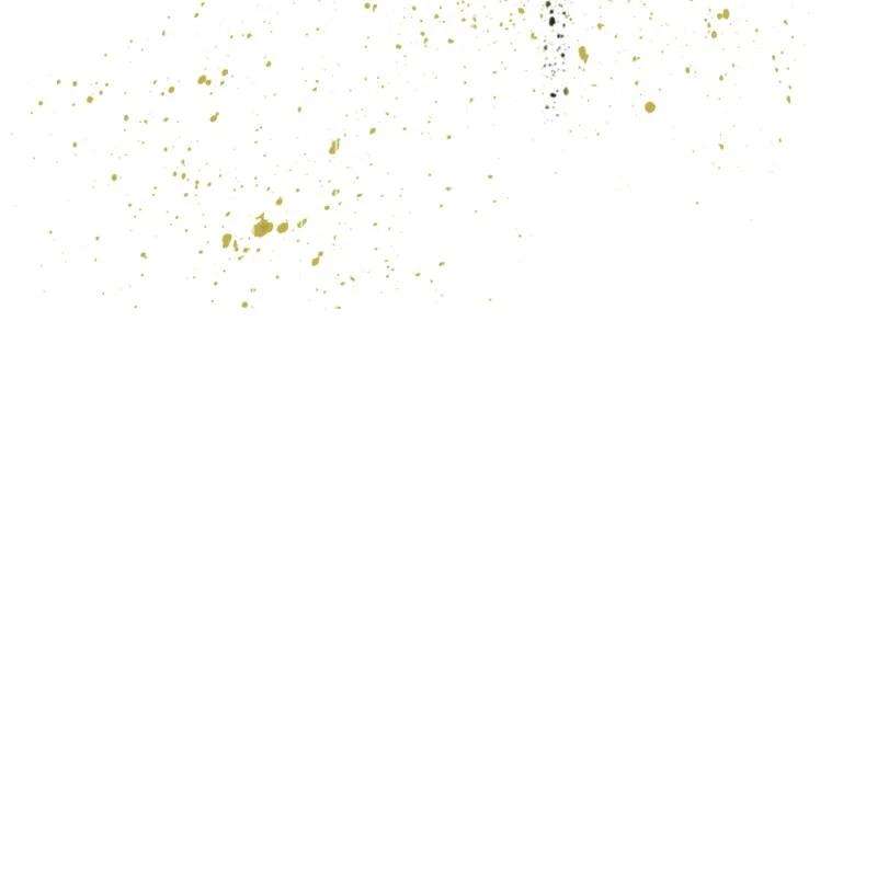 反叛船长的异世界攻略168 金狼VS虎克