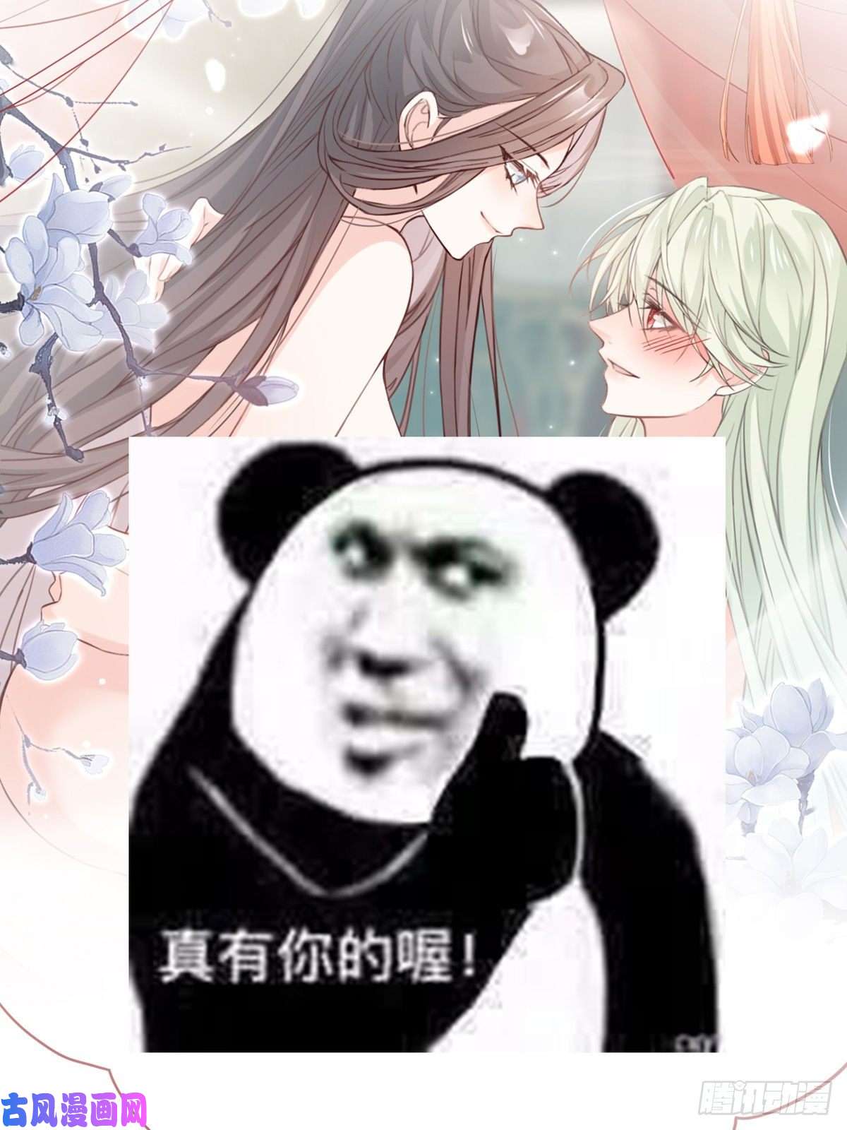 娇媚夫郎，在线绿茶正式预告
