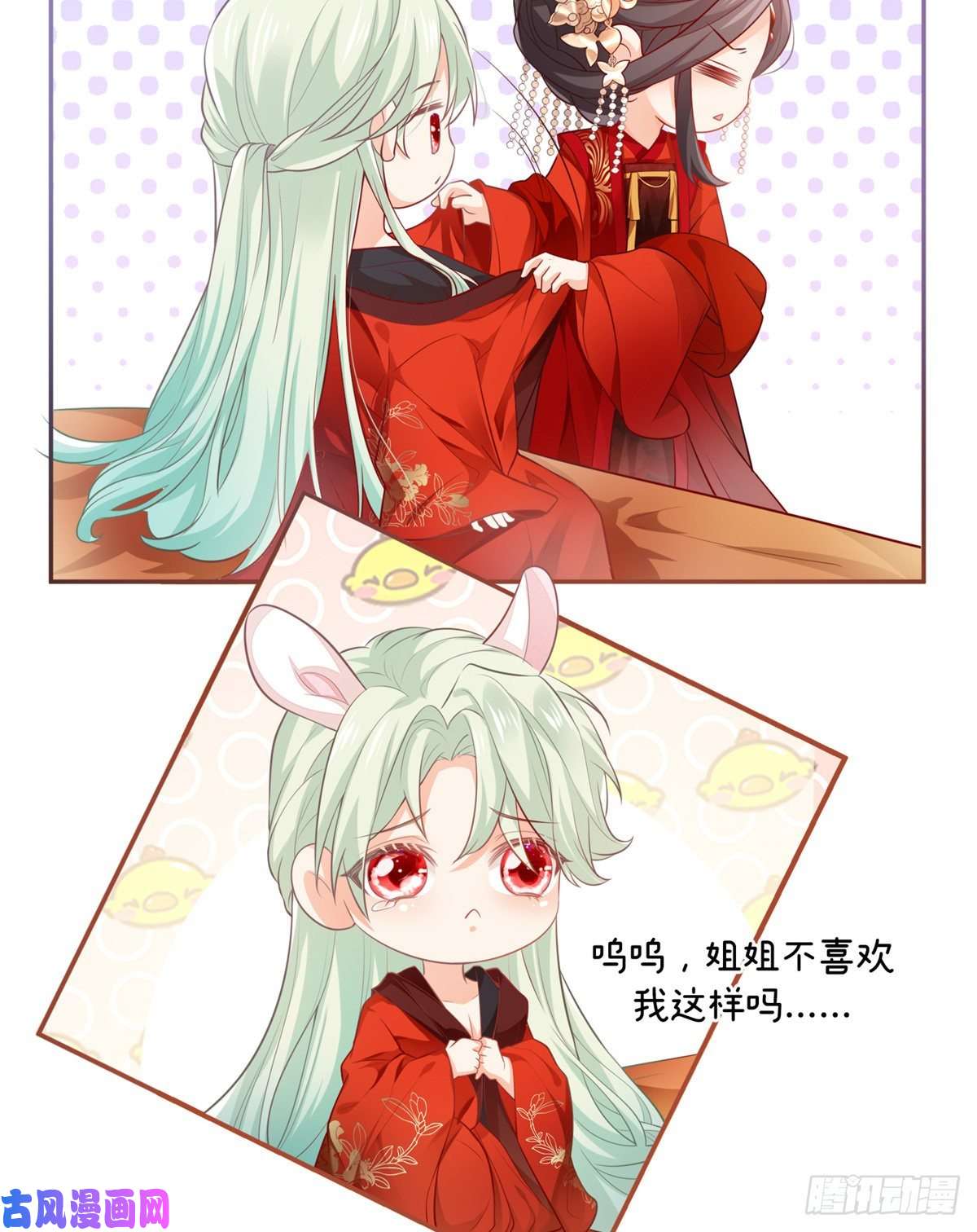 娇媚夫郎，在线绿茶正式预告