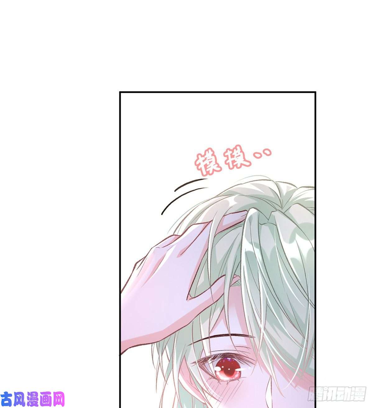 娇媚夫郎，在线绿茶妻夫一间房