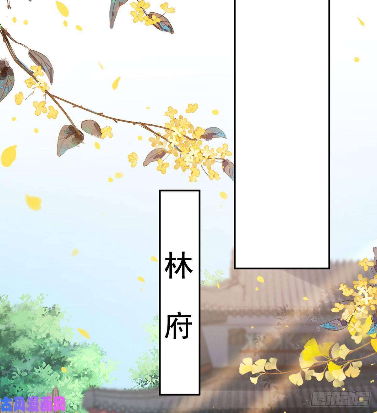 娇媚夫郎，在线绿茶深夜诱惑