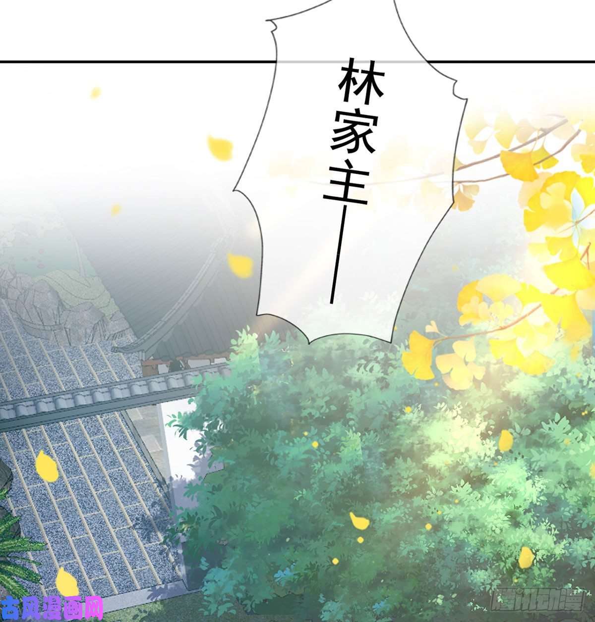 娇媚夫郎，在线绿茶深夜诱惑