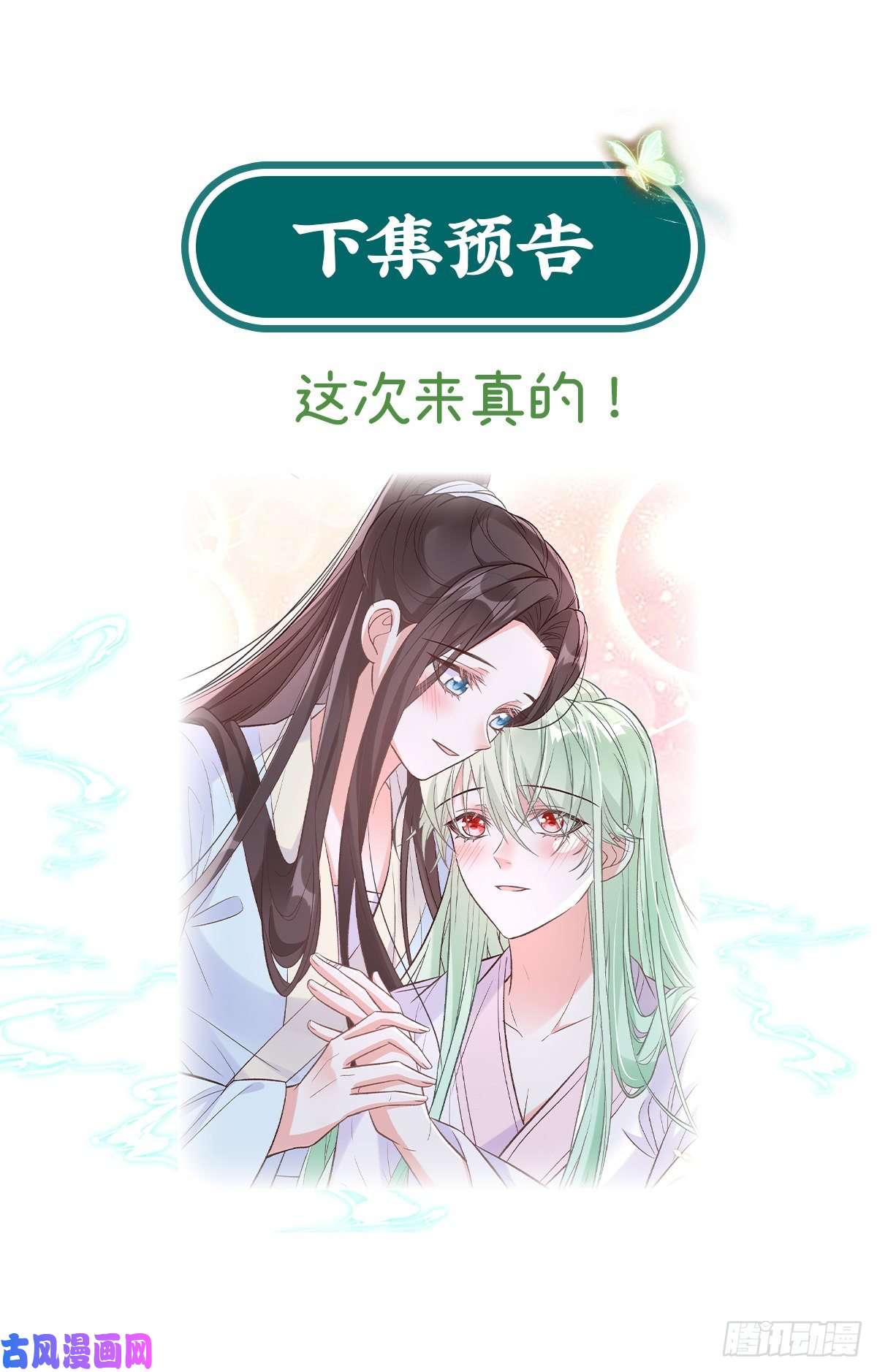 娇媚夫郎，在线绿茶绿茶心计