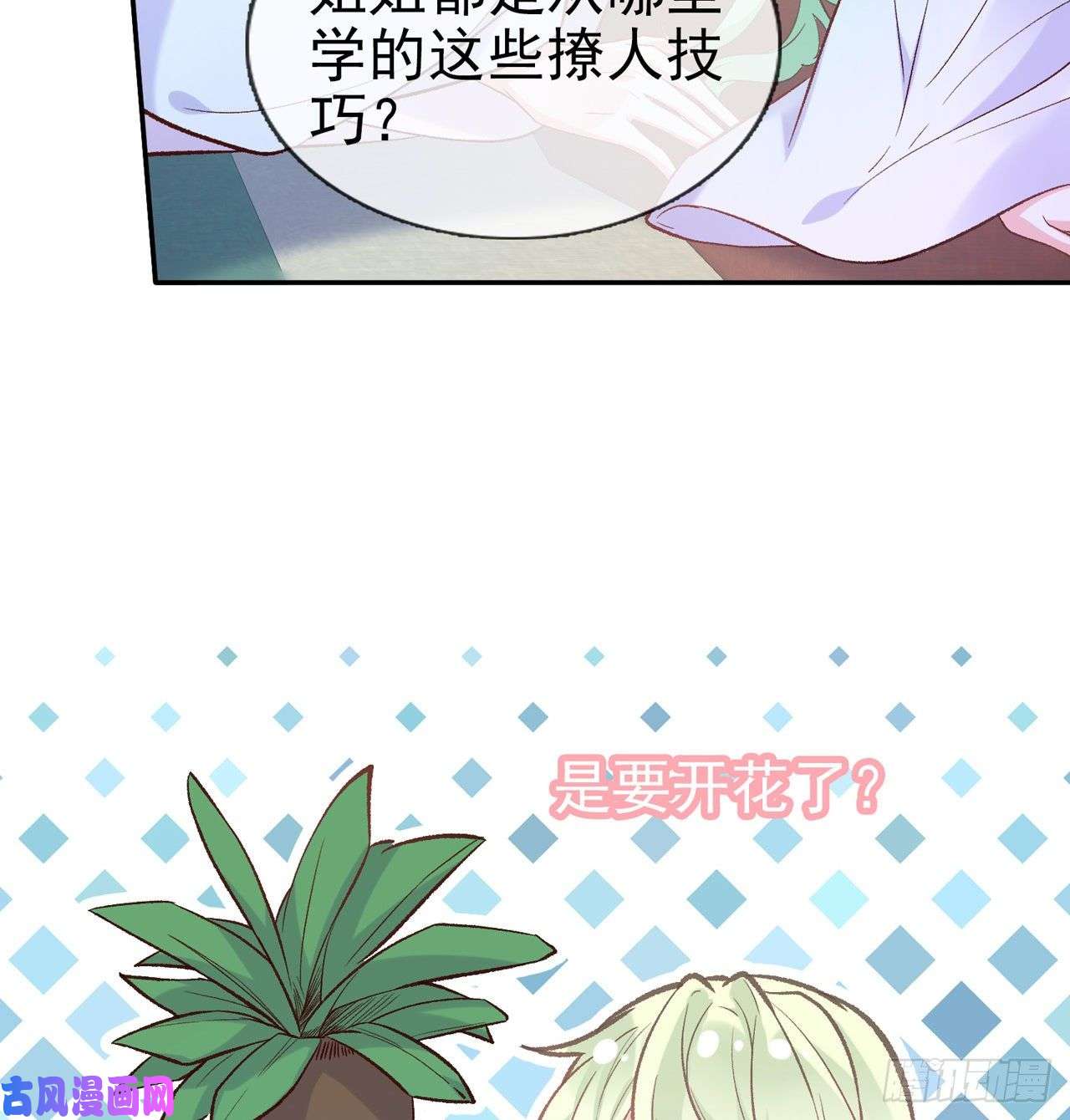 娇媚夫郎，在线绿茶姐姐我们开始吧