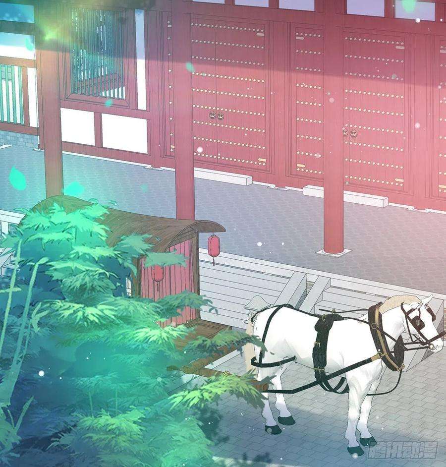娇媚夫郎，在线绿茶遇到好女郎