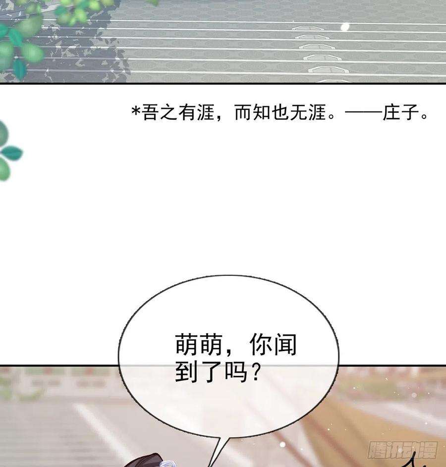娇媚夫郎，在线绿茶芬香