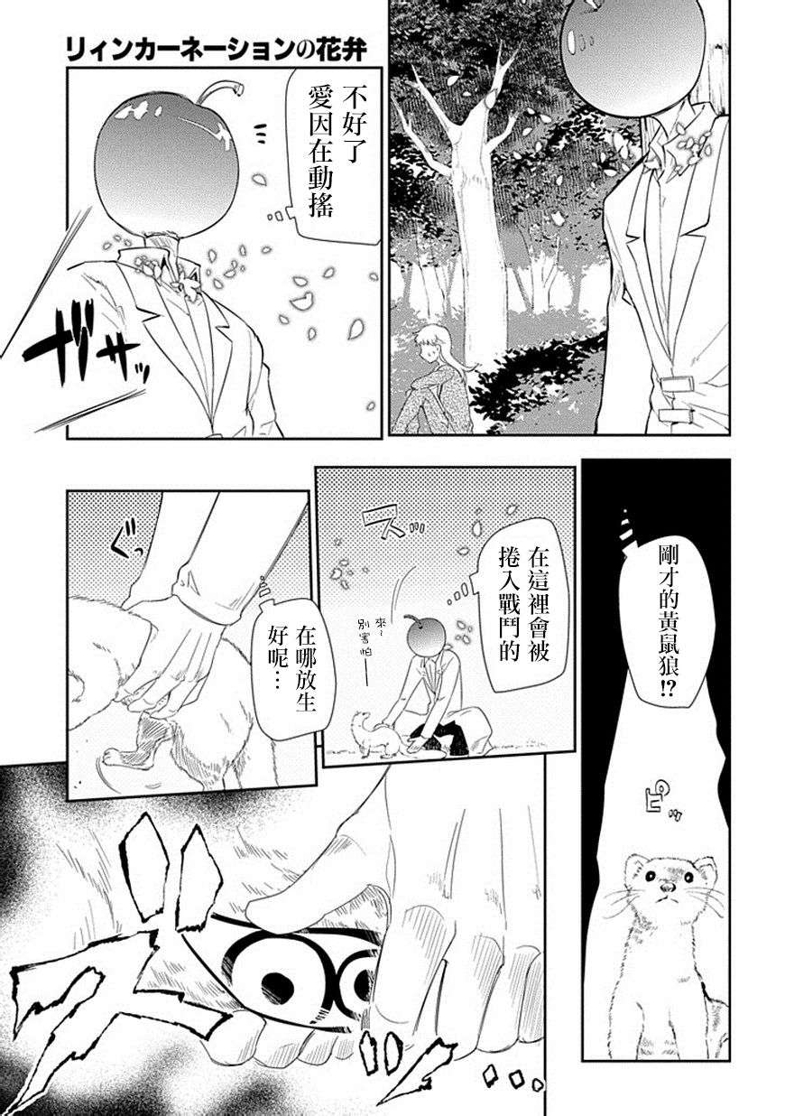 轮回的花瓣第17话
