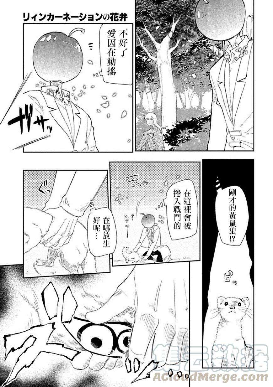 轮回的花瓣17话 腐败与全知