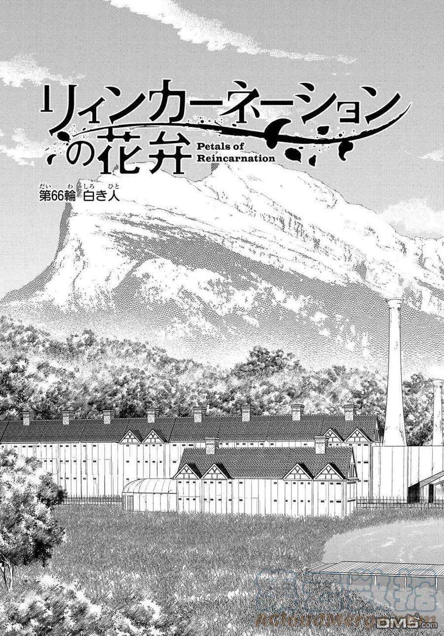 轮回的花瓣76话