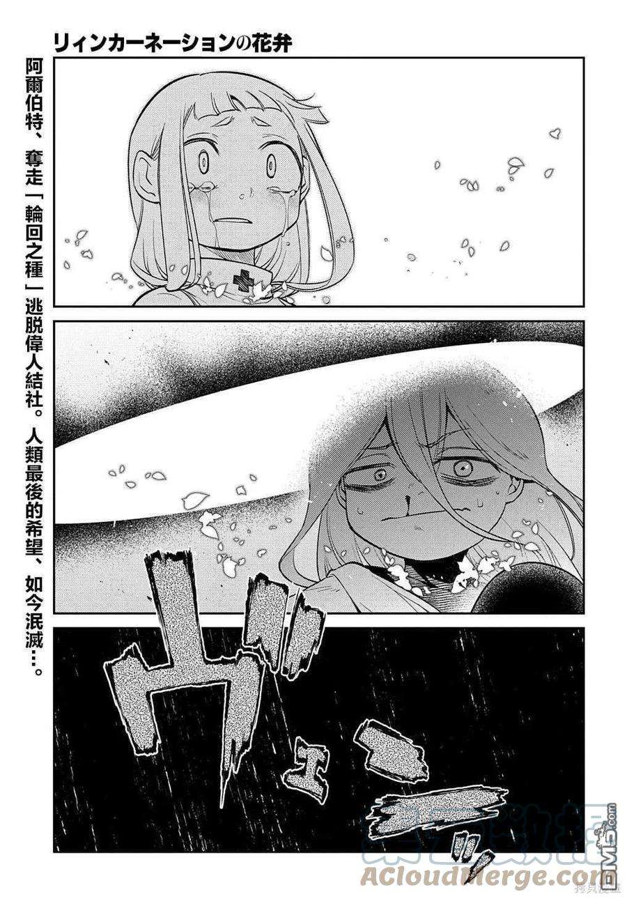 轮回的花瓣80话
