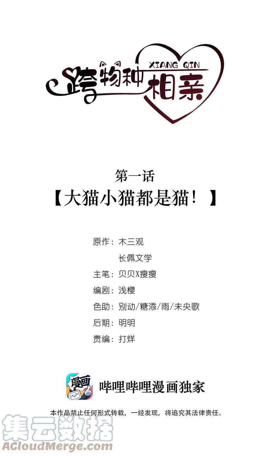 跨物种相亲001 大猫小猫都是猫！