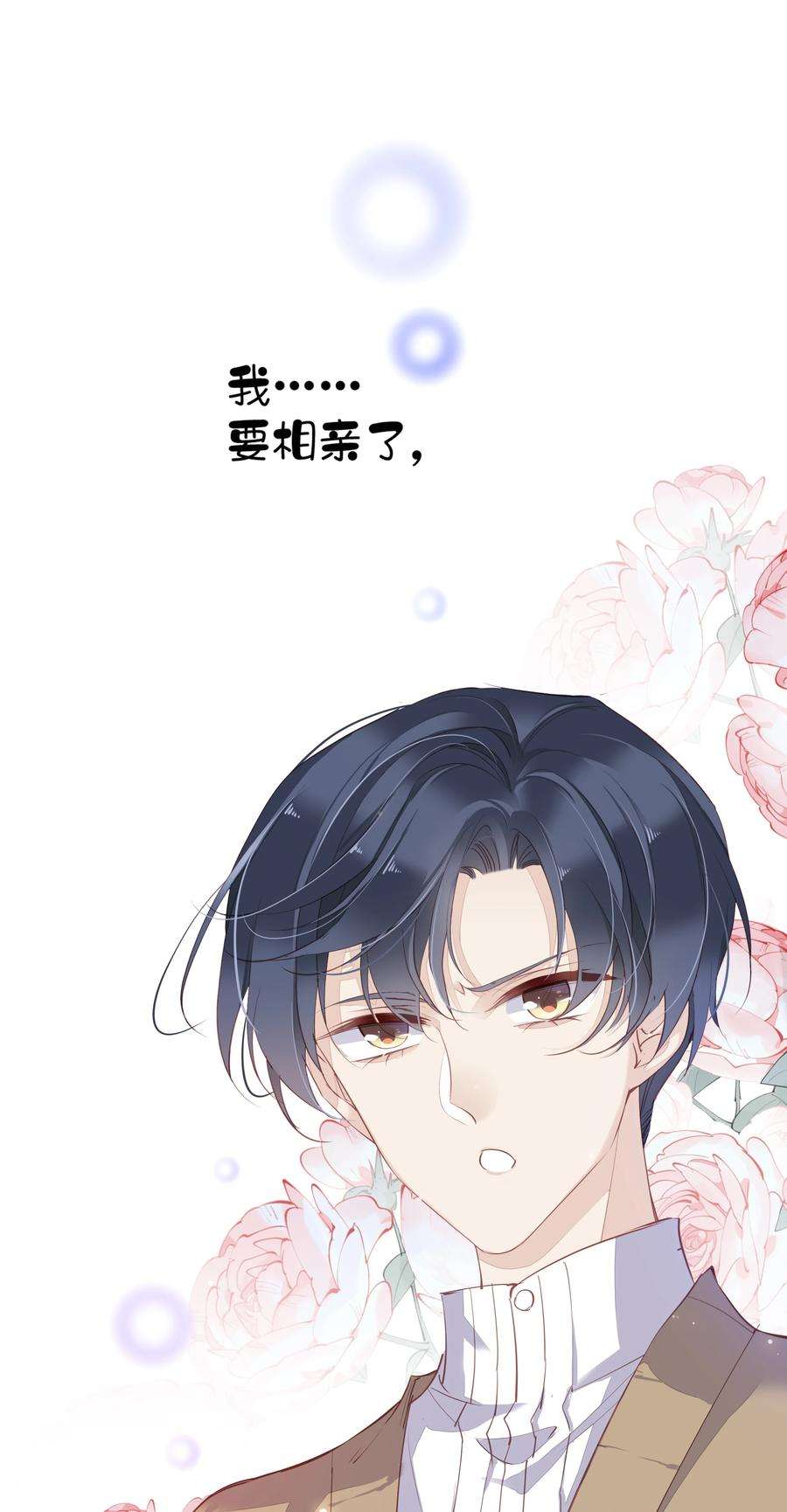 跨物种相亲001 大猫小猫都是猫！