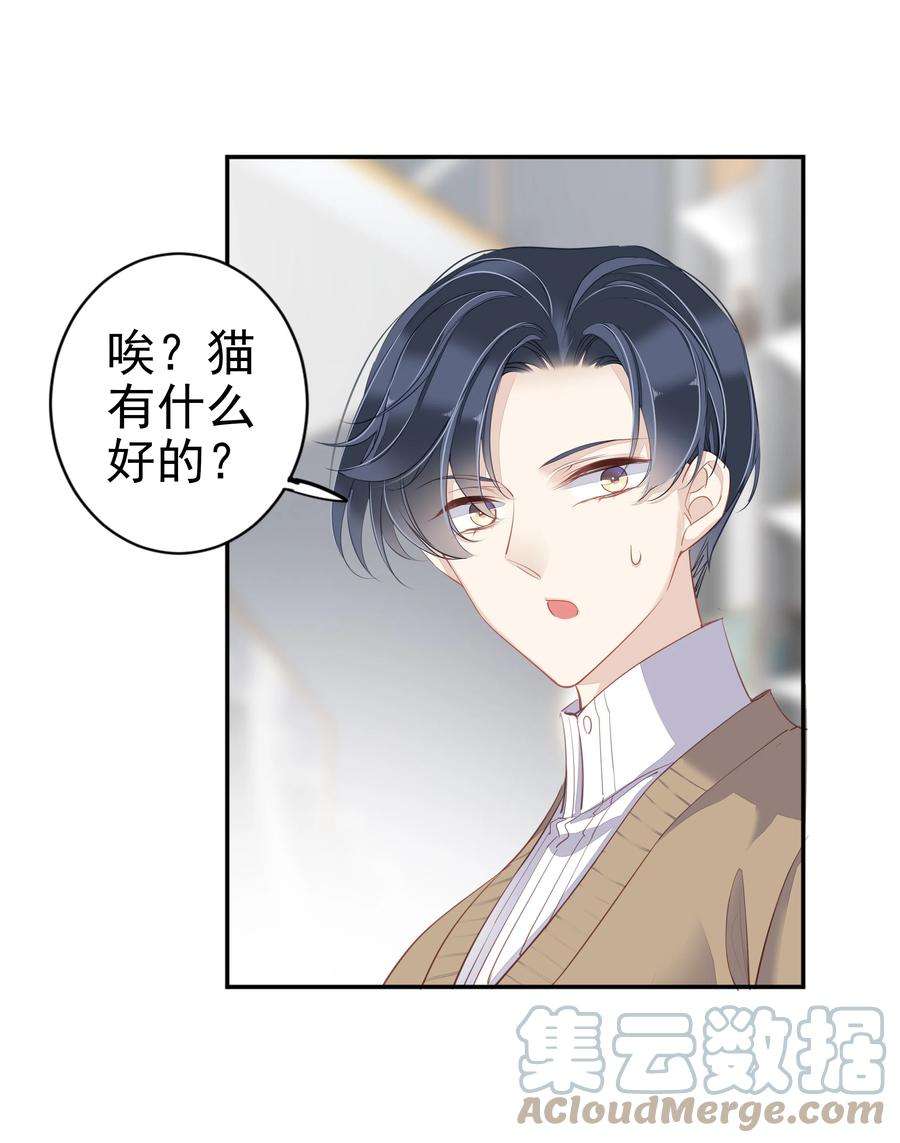 跨物种相亲001 大猫小猫都是猫！