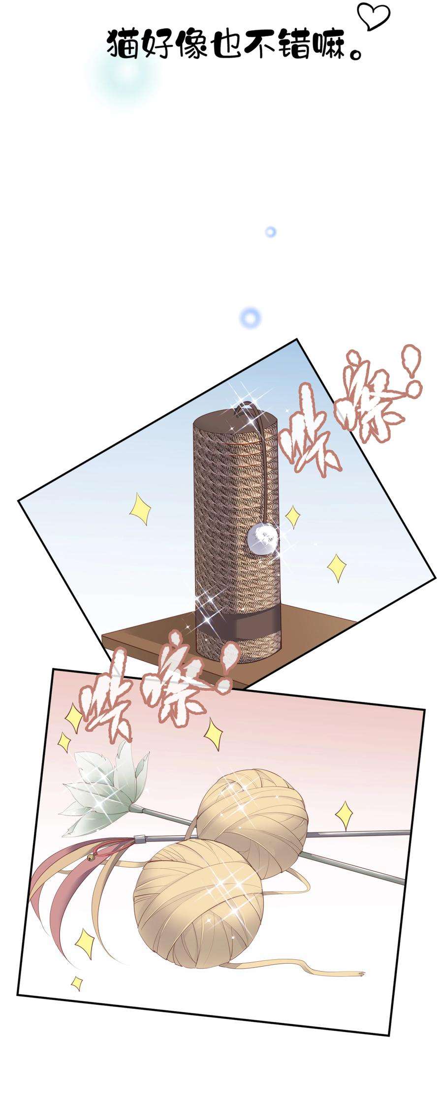 跨物种相亲001 大猫小猫都是猫！