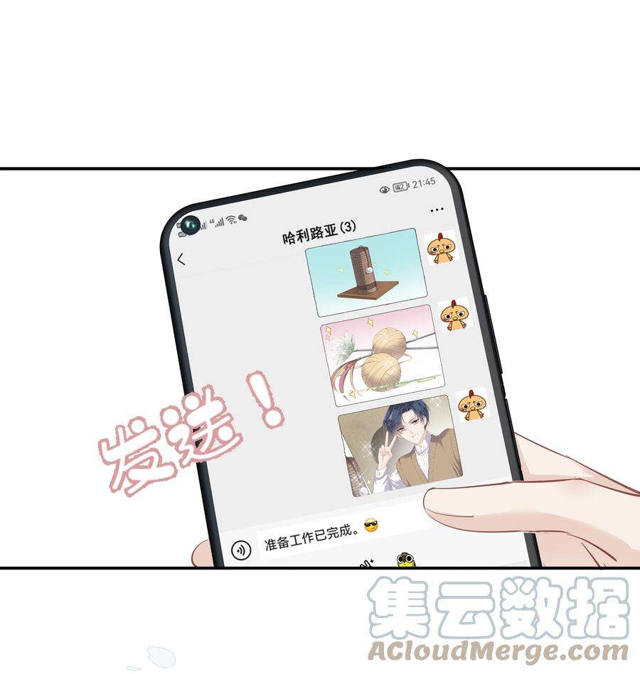 跨物种相亲001 大猫小猫都是猫！