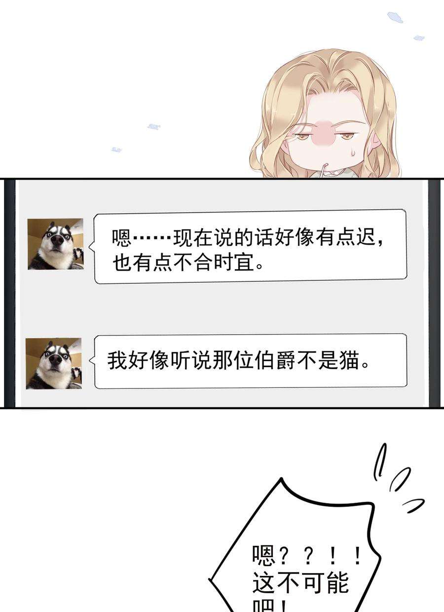 跨物种相亲001 大猫小猫都是猫！