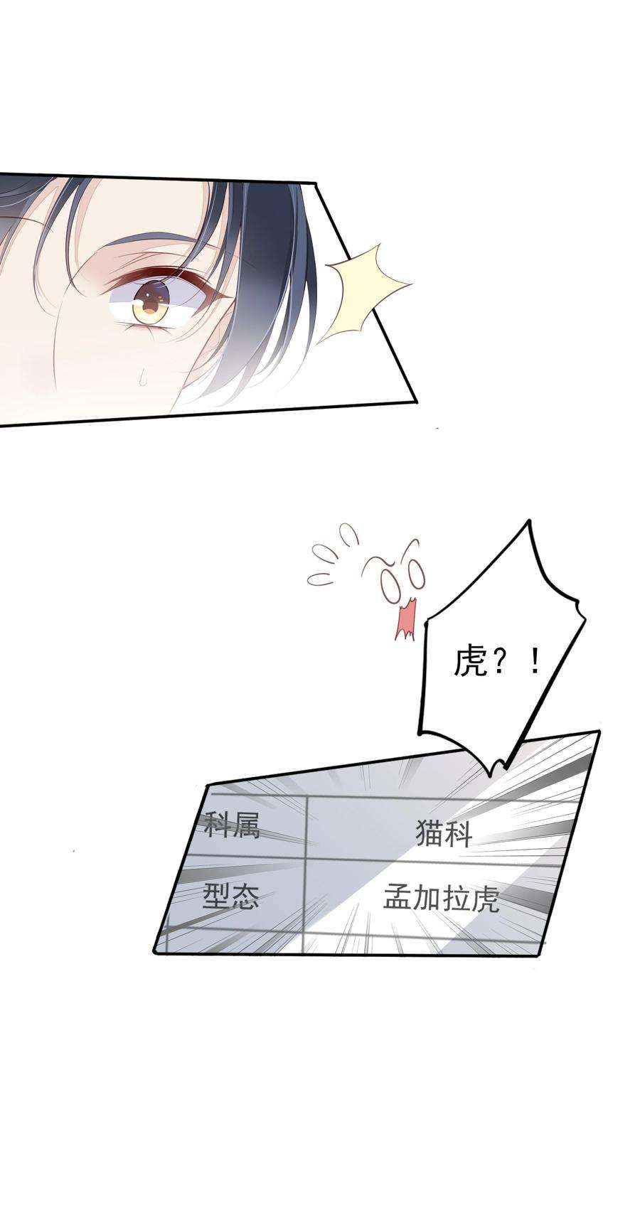 跨物种相亲001 大猫小猫都是猫！