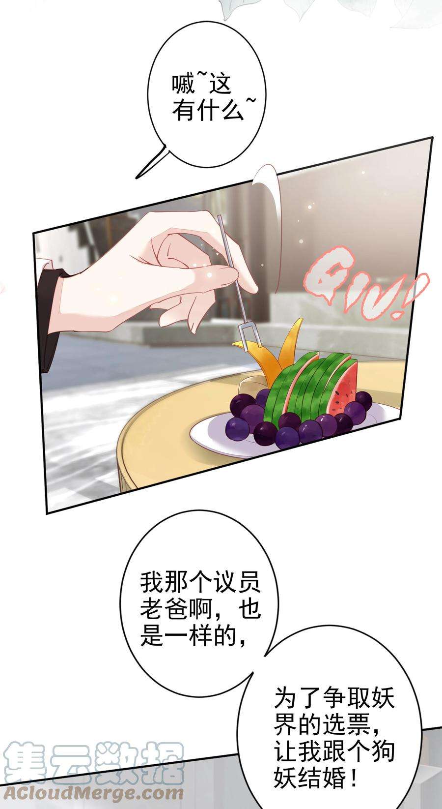 跨物种相亲001 大猫小猫都是猫！