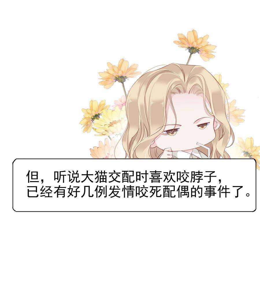 跨物种相亲001 大猫小猫都是猫！