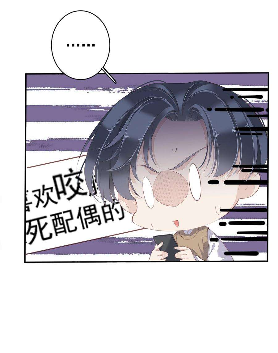 跨物种相亲001 大猫小猫都是猫！