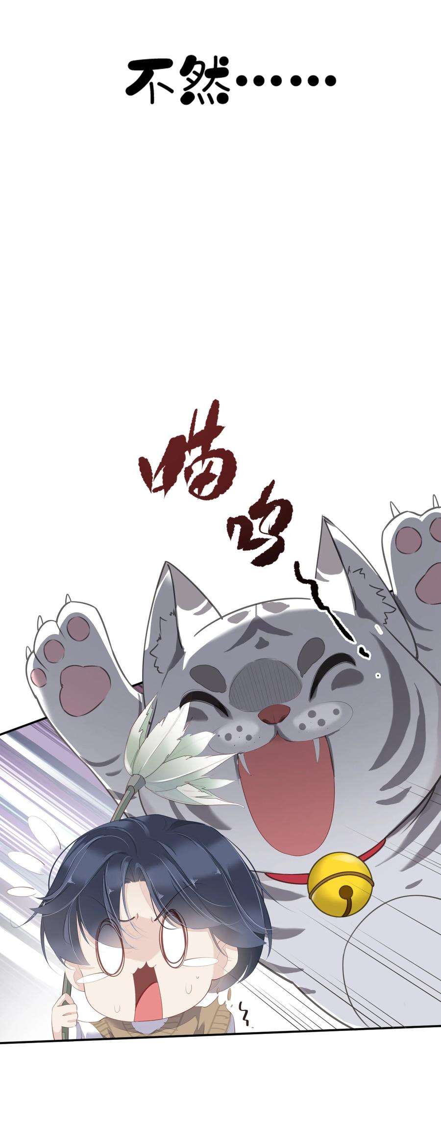 跨物种相亲001 大猫小猫都是猫！