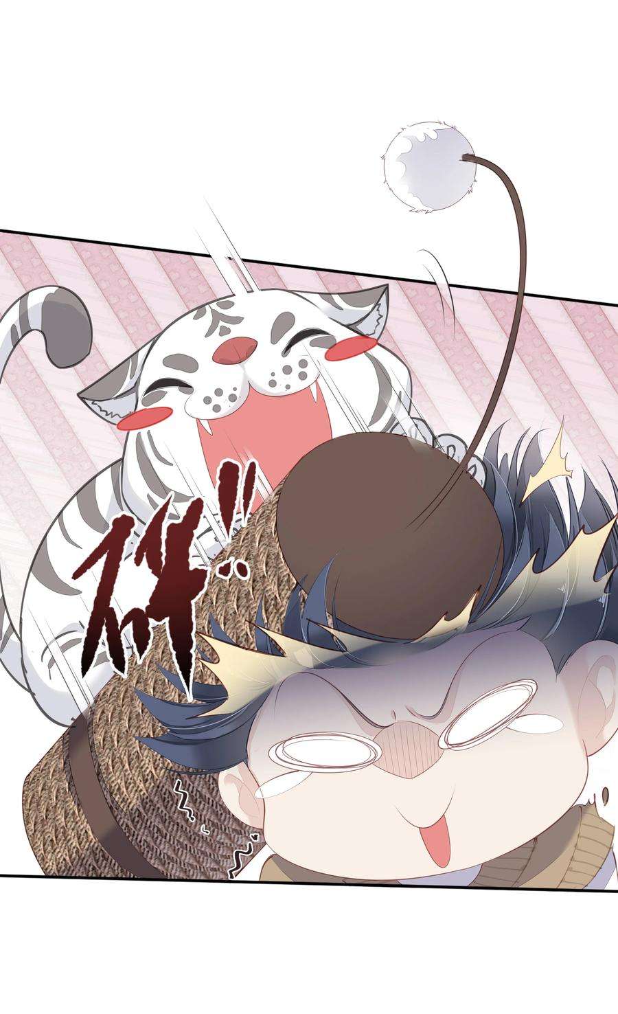 跨物种相亲001 大猫小猫都是猫！