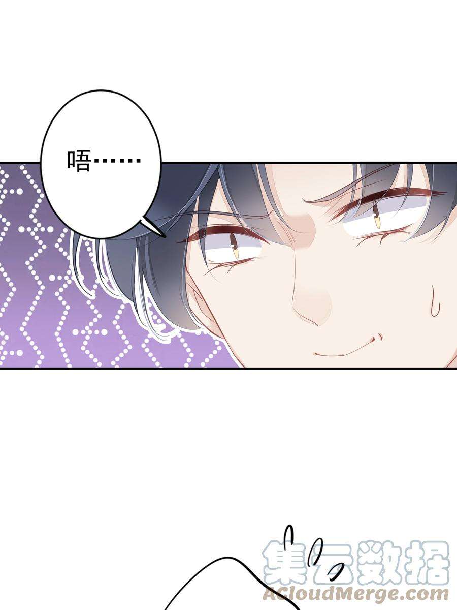 跨物种相亲001 大猫小猫都是猫！