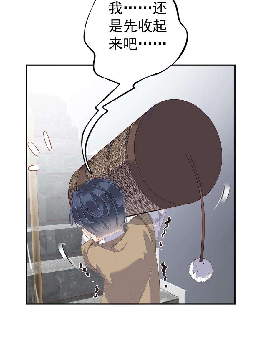 跨物种相亲001 大猫小猫都是猫！