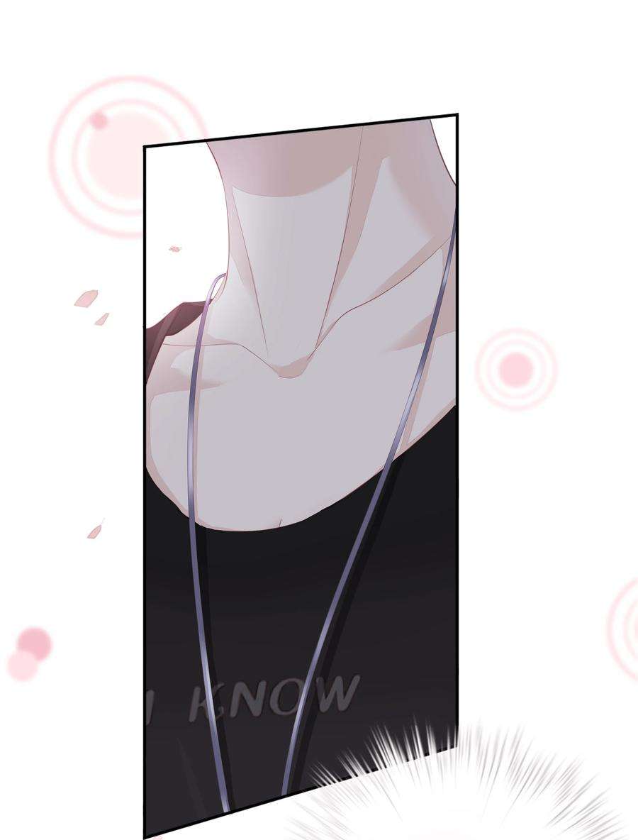 跨物种相亲001 大猫小猫都是猫！